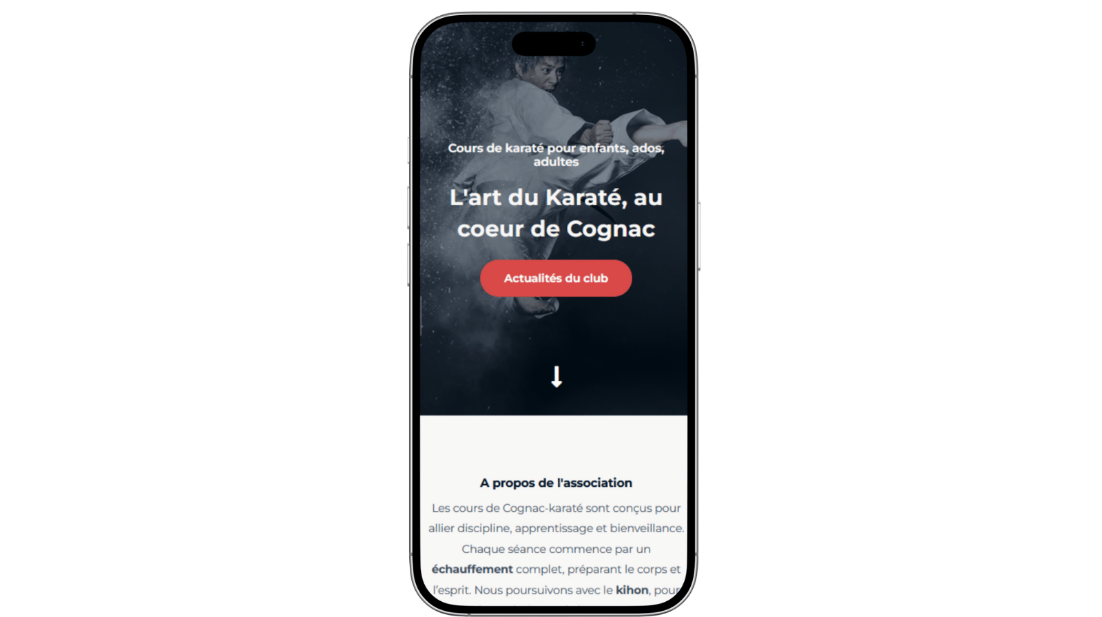 site fait par mon alliee digitale, compatible mobile